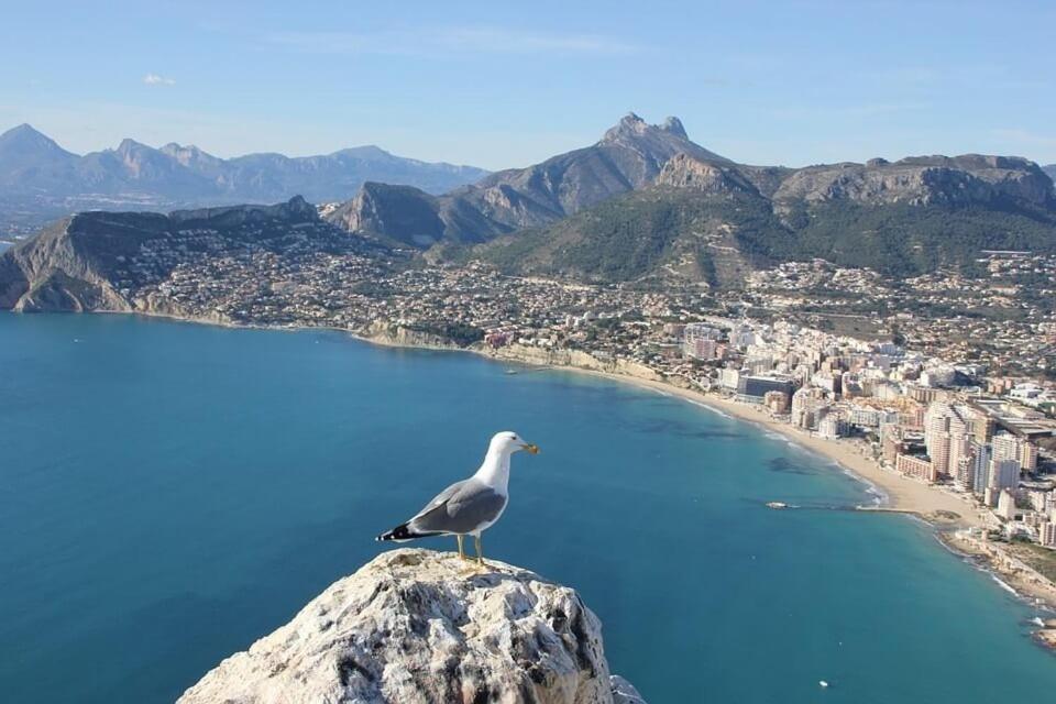 Apartamento Arenal 5 - PlusHolidays Calpe Esterno foto